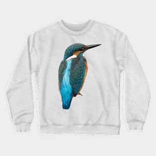 Close-up of a common kingfisher or Alcedo atthis Crewneck Sweatshirt